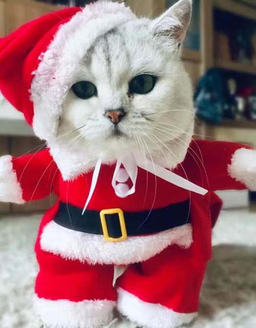 Load image into Gallery viewer, Winter Christmas Pet Cat Costumes Funny Santa Claus Clothes for Small Cats Dogs Xmas New Year Cat Clothing Kitty Kitten Outfits

