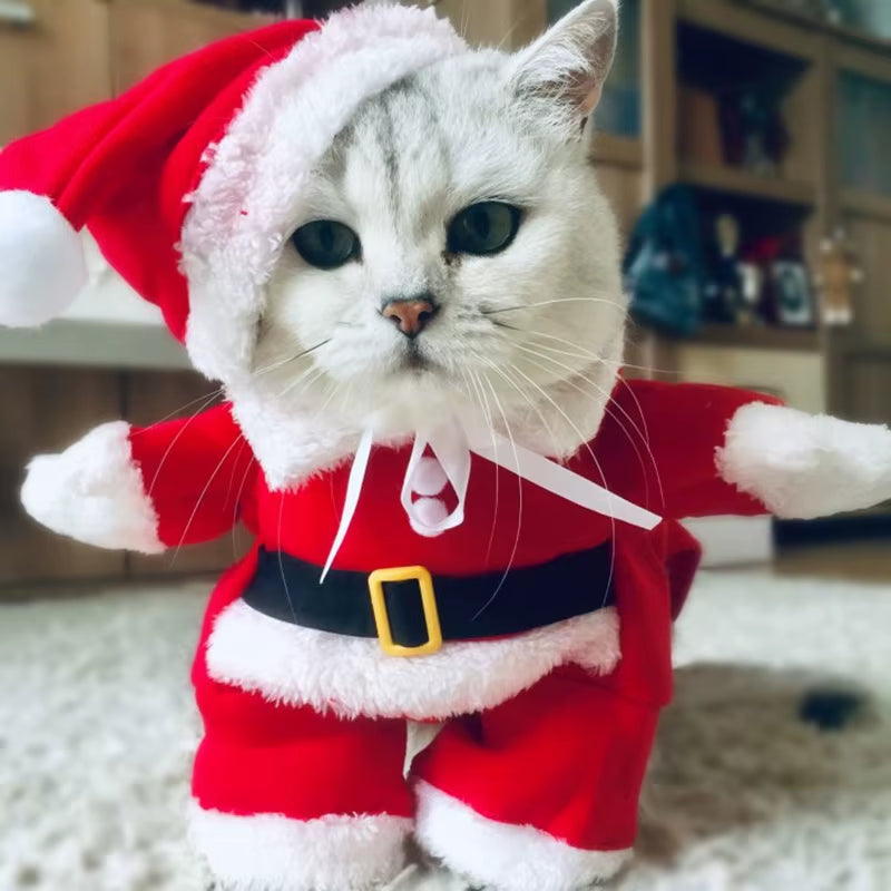 Winter Christmas Pet Cat Costumes Funny Santa Claus Clothes for Small Cats Dogs Xmas New Year Cat Clothing Kitty Kitten Outfits