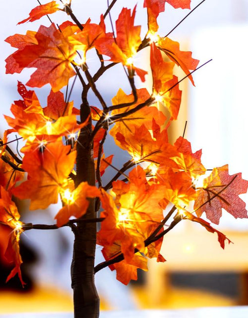 Load image into Gallery viewer, Alfanite 24-Inch Fall Lighted Maple Tree, 24 LED Lights, Usb+Battery Operated Thanksgiving Table Centerpieces Decoration Tree for Home Fireplace Autumn Harvest Tabletop Indoor Decor
