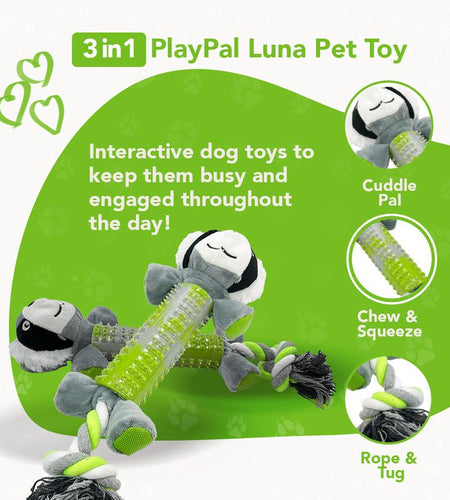Rethink Pet Playpal 3 in 1 Pet Toy - Koala Rope, Dental Toy and Squeaky Plush Long Lasting Dog Toy