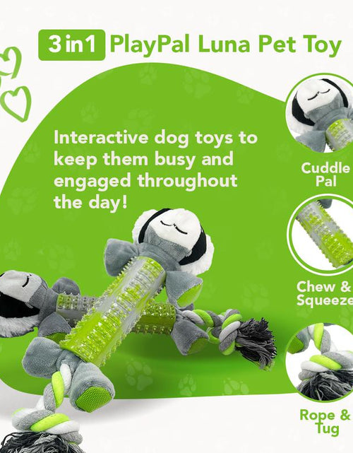 Load image into Gallery viewer, Rethink Pet Playpal 3 in 1 Pet Toy - Koala Rope, Dental Toy and Squeaky Plush Long Lasting Dog Toy
