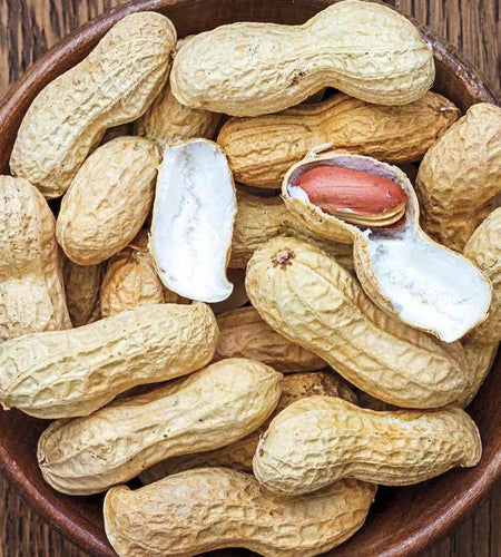 1 Lb. Bag, Bailey II Virginia Peanut Dormant Vegetable Seeds