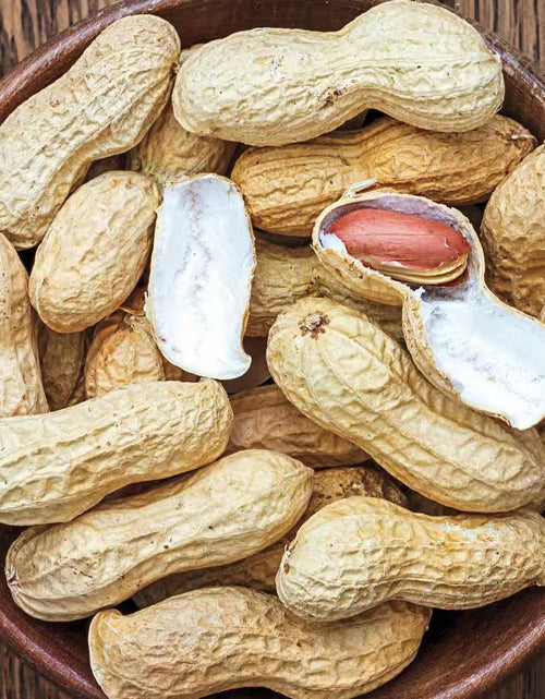 Load image into Gallery viewer, 1 Lb. Bag, Bailey II Virginia Peanut Dormant Vegetable Seeds
