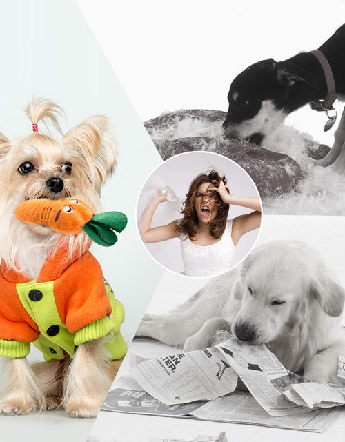 Load image into Gallery viewer, Dog Squeaky Toys, Plush Small Dog Toys for Dogs, Stuffed with Squeakers,12 Pcs Puppy Toys with a Carrying Bag for Small Medium Size
