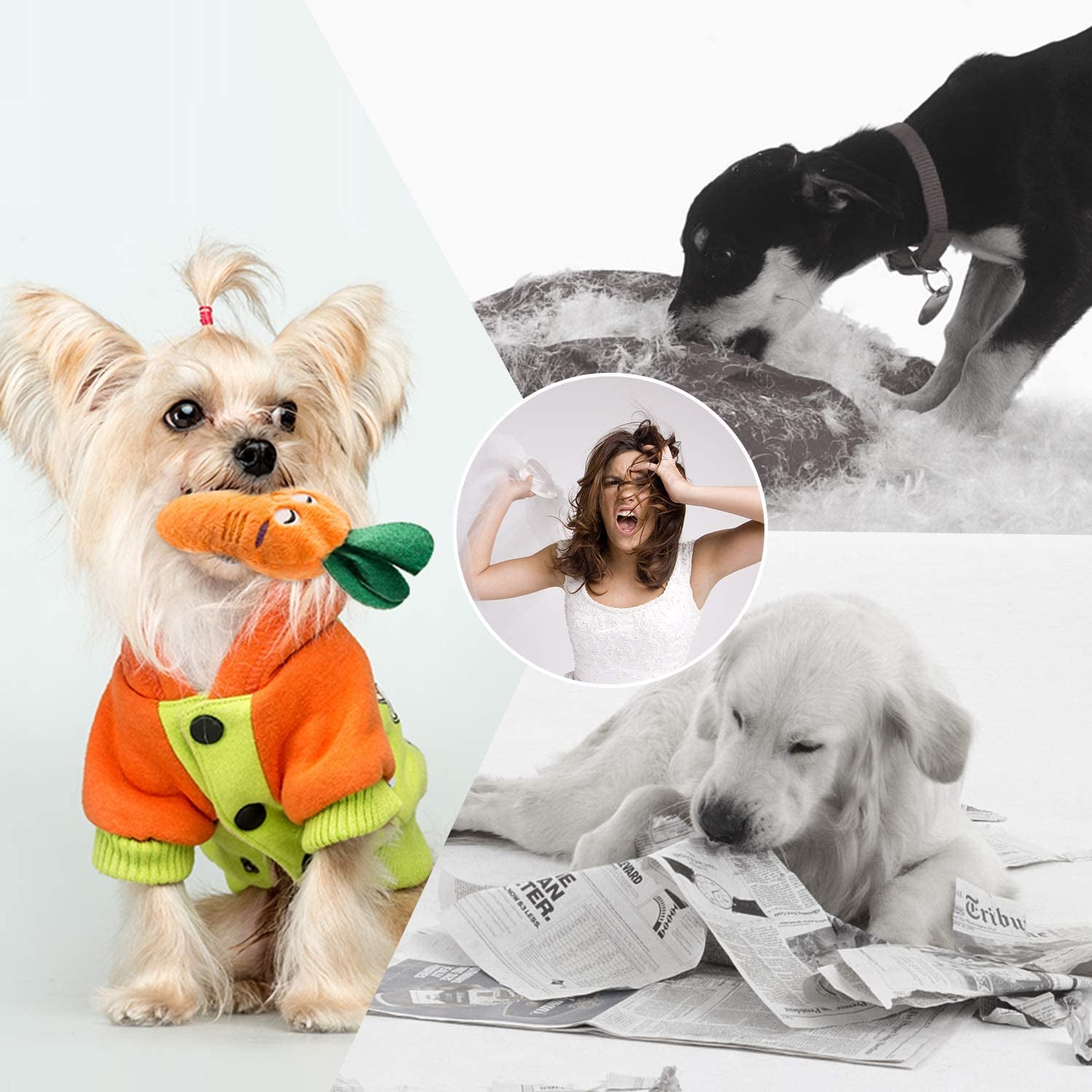 Dog Squeaky Toys, Plush Small Dog Toys for Dogs, Stuffed with Squeakers,12 Pcs Puppy Toys with a Carrying Bag for Small Medium Size