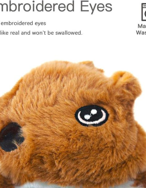 Load image into Gallery viewer, Dog Squeaky Toys 5 Pack, Pet Toys Crinkle Dog Toy No Stuffing Animals Dog Plush Chew for Large Dogs and Medium Dogs Squeeky
