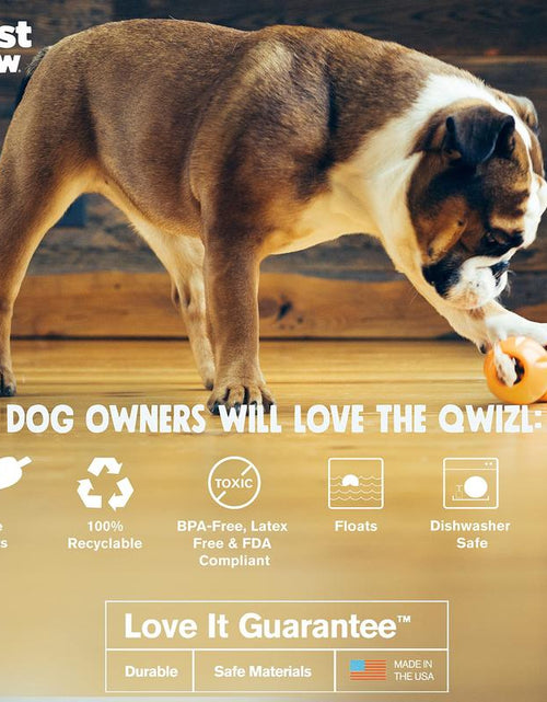 Load image into Gallery viewer, WEST PAW Design, Toy Dog Qwizl Aqua Small
