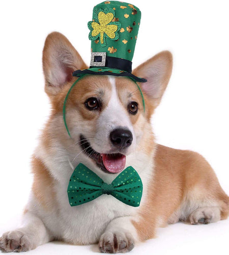 St Patricks Day Dog Costume - St. Patty'S Day Doggie Headband and Green Bow Tie Kit