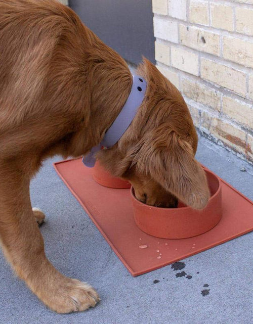 Load image into Gallery viewer, Houndstone Silicone Pet Food Mat, Dishwasher Safe, Olive
