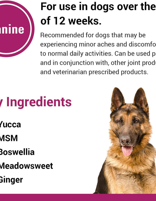 Load image into Gallery viewer, Pain plus Extra Strength Health Supplement for Dogs - 120 Soft Chews
