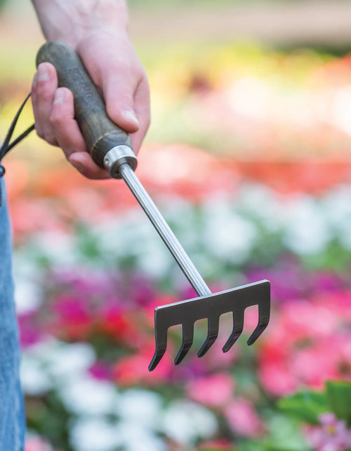 Load image into Gallery viewer, Garden Tools -  Stainless Steel 5 Tine Rake
