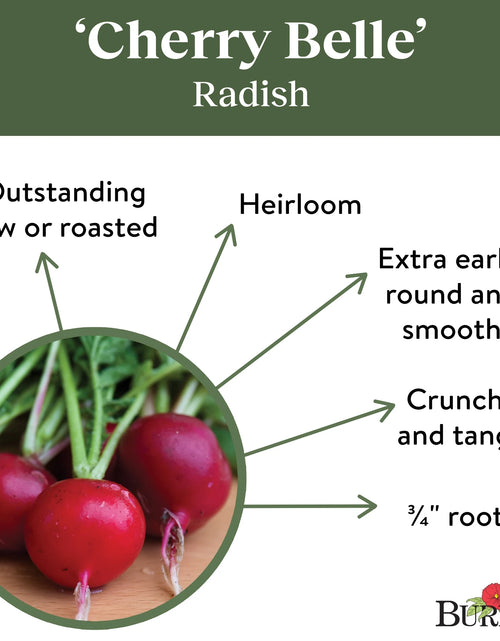 Load image into Gallery viewer, Organics Cherry Belle Radish Seeds - Non-Gmo, Heirloom Organic Vegetable Gardening Seeds, 4.6G, 1-Pack
