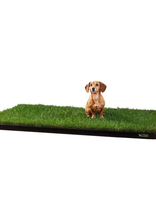 Load image into Gallery viewer, Doggielawn Real Grass Potty Pad, Odor Neutralizing, Sustainable and Affordable - Pet Supplies
