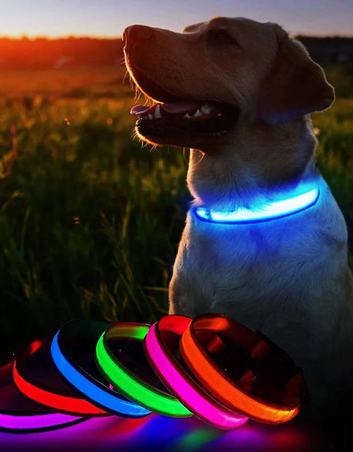 Load image into Gallery viewer, MASBRILL Dog Collar Luminous Pet Supplies Dog Collar Waterpoof Safety Collars
