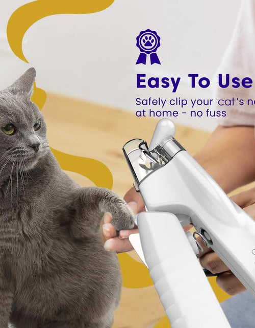 Load image into Gallery viewer, Pet Supplies Cat and Dog Nail Clippers Nail Polishers LED Lights Scissors Cleaning Supplies
