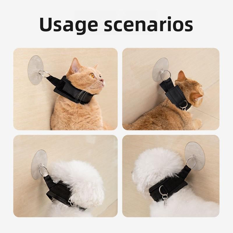 Pet Bath Holder Pet Shower Tool Anti-Scratch Anti-Disturbance Dogs and Cats Bath Cleaning Pet Supplies