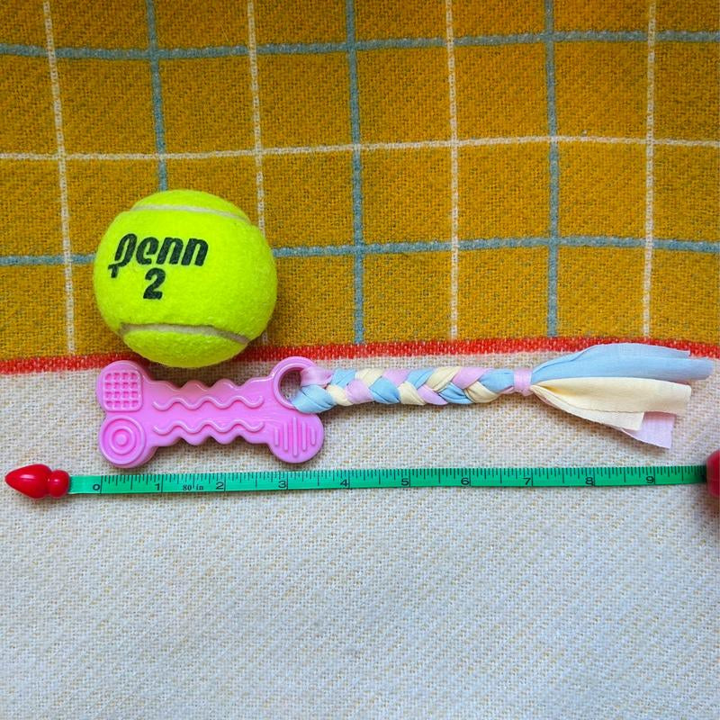 Pack of 3 | Chewable Bone Dog Toy with Rope | Tough Dog Chew Toy | Puppy Chew Toys for Teething | Small Medium Sized Dogs | Pet Toys