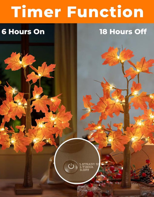 Load image into Gallery viewer, Alfanite 24-Inch Fall Lighted Maple Tree, 24 LED Lights, Usb+Battery Operated Thanksgiving Table Centerpieces Decoration Tree for Home Fireplace Autumn Harvest Tabletop Indoor Decor
