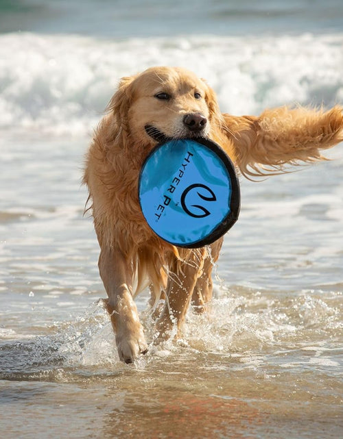 Load image into Gallery viewer, Flippy Flopper 9" Flying Disc Soft Dog Toy, Floats in Water &amp; Safe on Teeth, for All Breeds, Pack of 5 (Colors May Vary)
