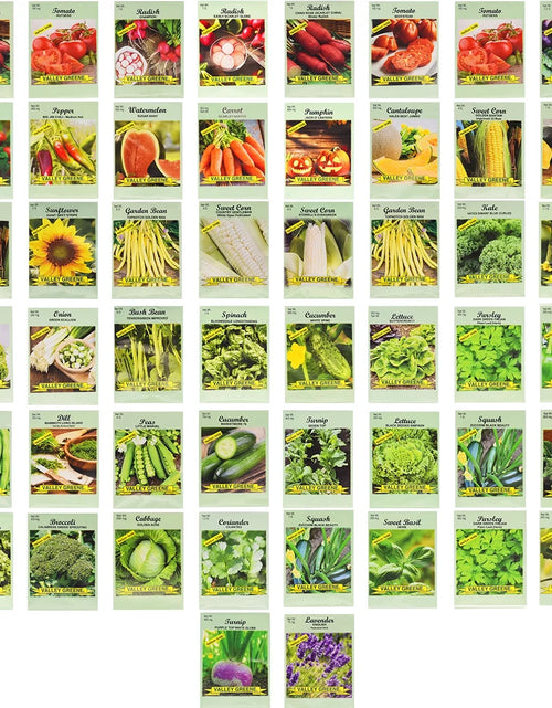 Load image into Gallery viewer, 50 Packs Assorted Heirloom Vegetable Seeds 30+ Varieties All Seeds Are Heirloom &amp; Non-Gmo
