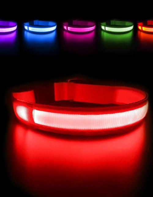 Load image into Gallery viewer, MASBRILL Dog Collar Luminous Pet Supplies Dog Collar Waterpoof Safety Collars
