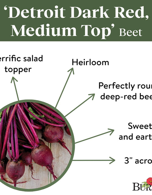Load image into Gallery viewer, Medium Top Detroit Dark Red Beet Seeds - Non-Gmo, Easy to Grow, Vegetable Gardening Seeds, 5.5G, 1-Pack
