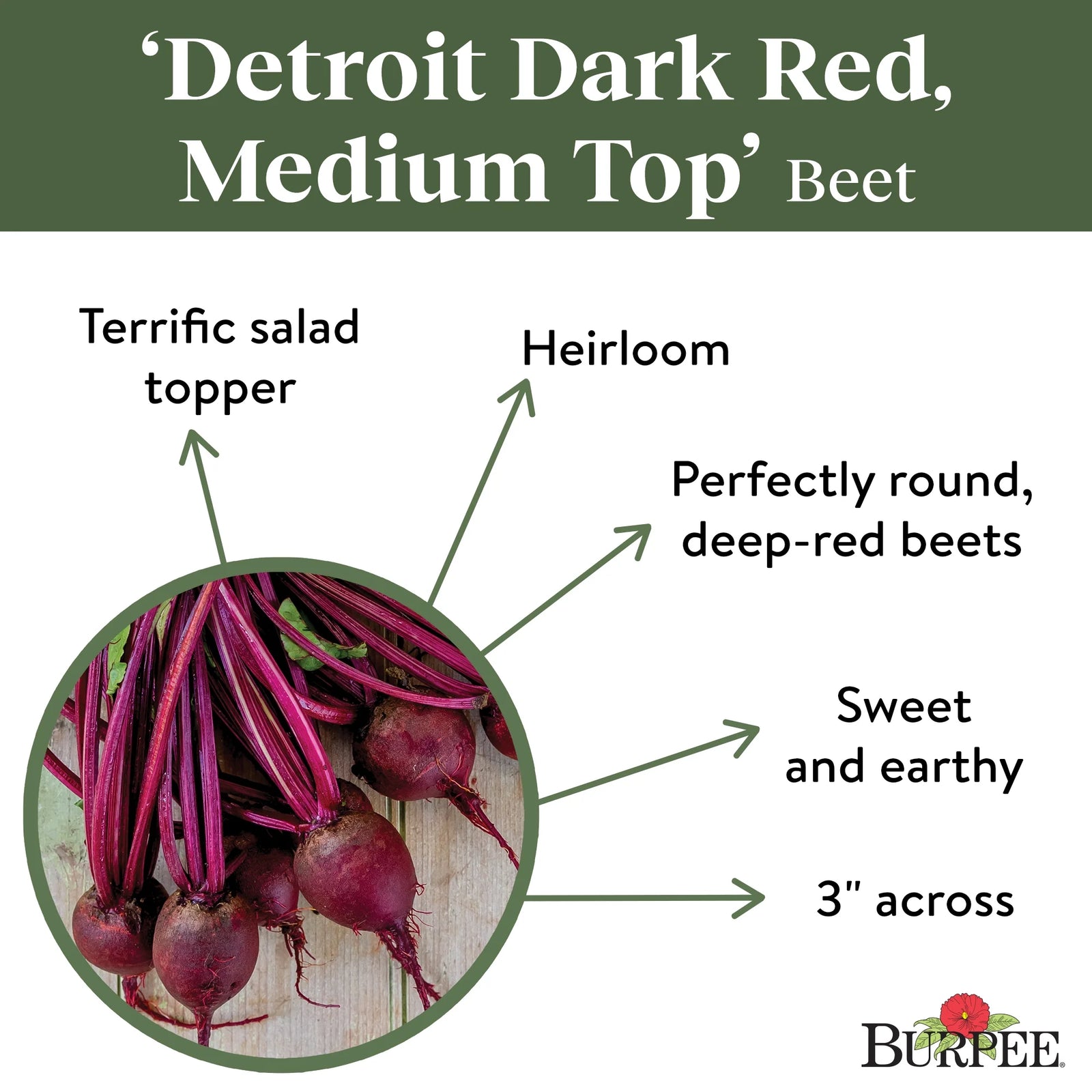 Medium Top Detroit Dark Red Beet Seeds - Non-Gmo, Easy to Grow, Vegetable Gardening Seeds, 5.5G, 1-Pack