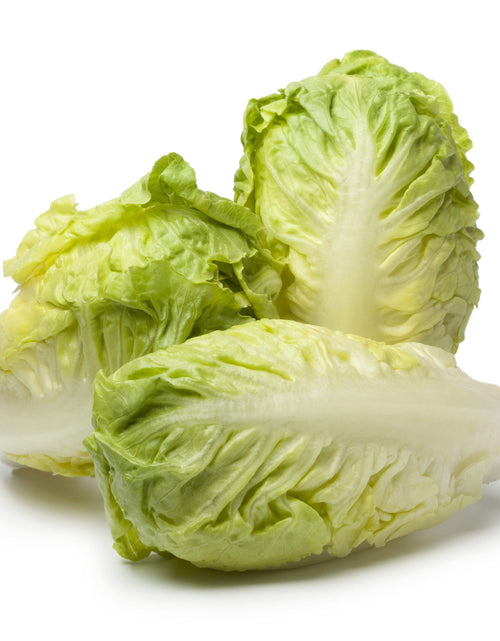 Load image into Gallery viewer, 3000 Seeds LITTLE GEM LETTUCE Small Romaine Butterhead Lactuca Vegetable Seeds
