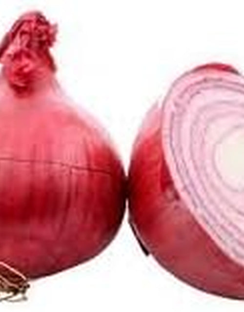 Load image into Gallery viewer, Onion Red Burgundy Great Heirloom Garden Vegetable Seeds by  (1,000 Seeds)
