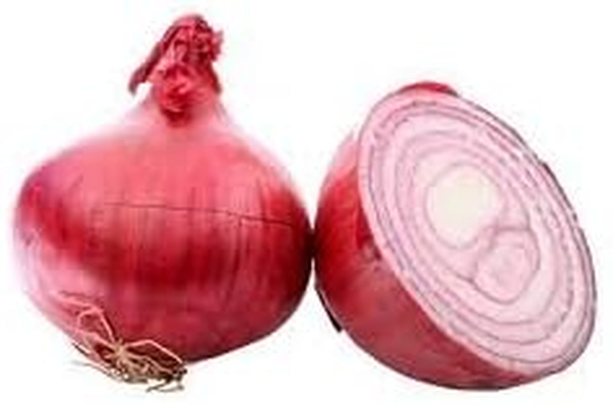 Onion Red Burgundy Great Heirloom Garden Vegetable Seeds by  (1,000 Seeds)