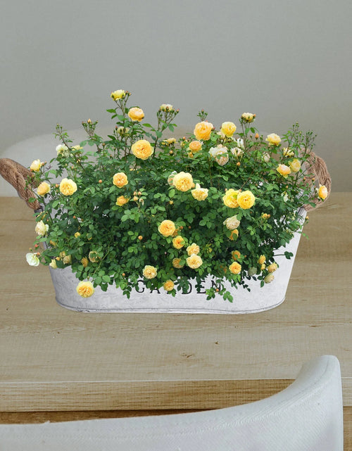 Load image into Gallery viewer, 2 Pcs Garden Supplies Planting Flower Pot Artistic
