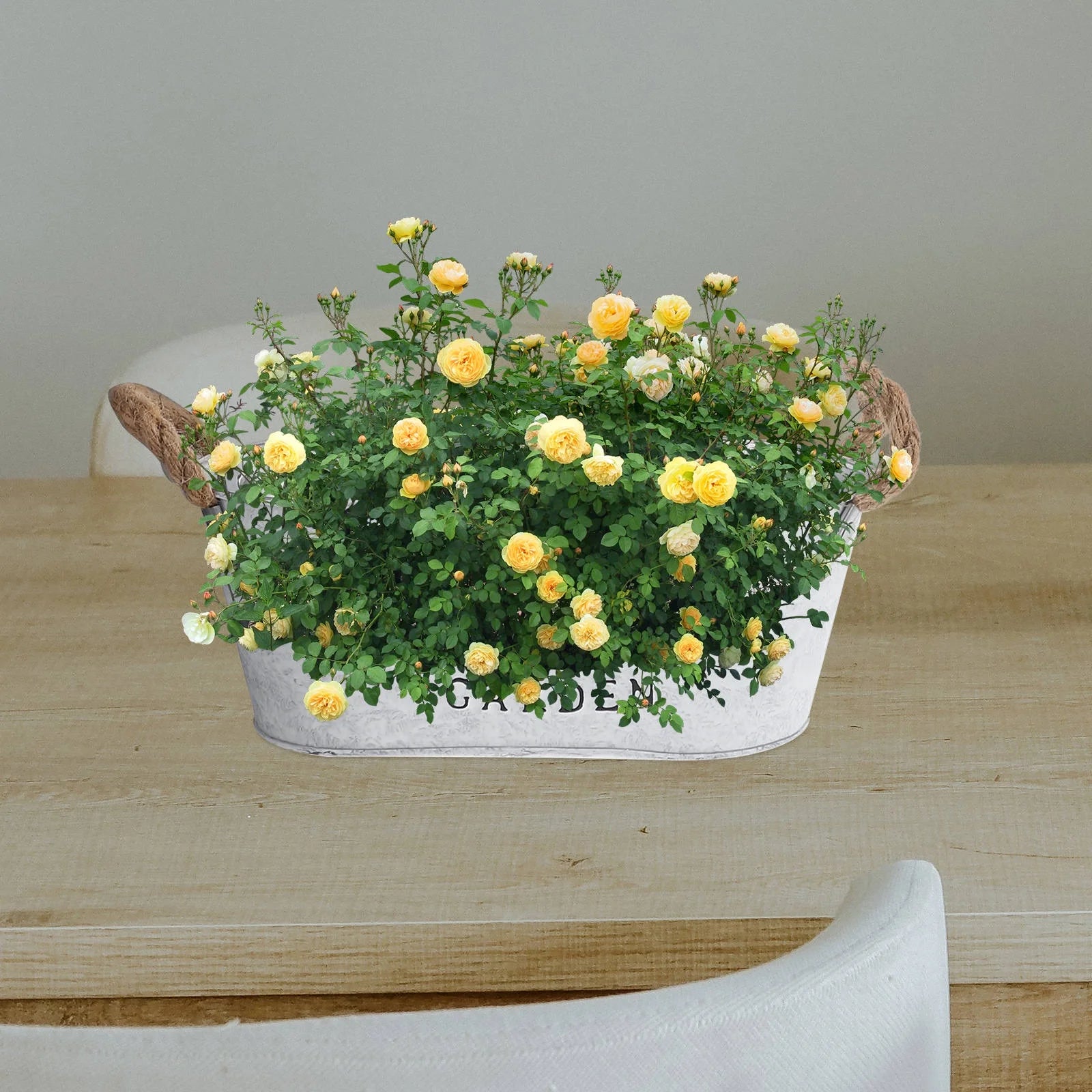 2 Pcs Garden Supplies Planting Flower Pot Artistic