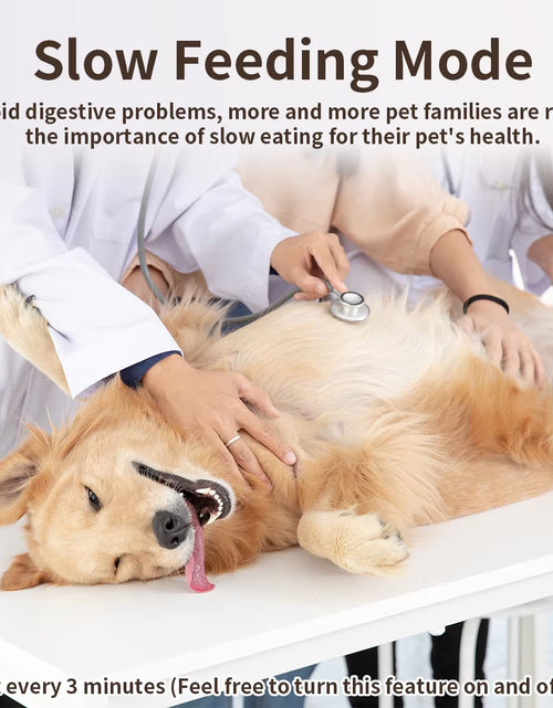 Load image into Gallery viewer, Smart Automatic Cat Feeders Wifi Pet Feeder with APP Control for Remote Feeding Detachable for Easy Clean Cat Food
