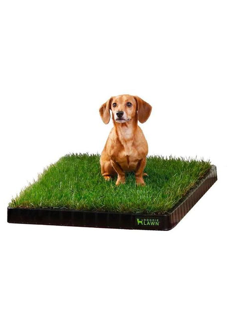 Load image into Gallery viewer, Doggielawn Real Grass Potty Pad, Odor Neutralizing, Sustainable and Affordable - Pet Supplies

