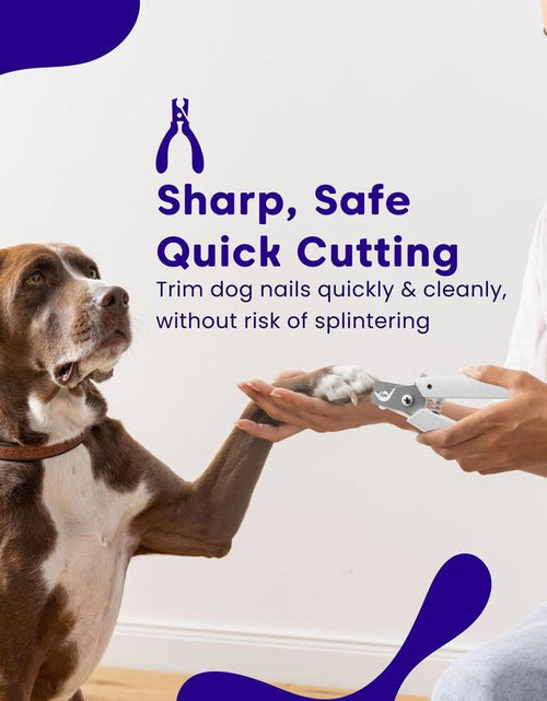 Load image into Gallery viewer, Pet Supplies Cat and Dog Nail Clippers Nail Polishers LED Lights Scissors Cleaning Supplies
