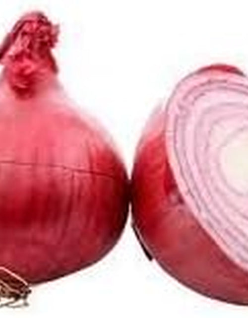 Load image into Gallery viewer, Onion Red Burgundy Great Heirloom Garden Vegetable Seeds by  (200 Seeds)

