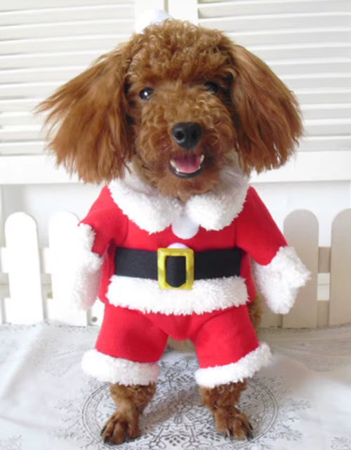 Load image into Gallery viewer, Winter Christmas Pet Cat Costumes Funny Santa Claus Clothes for Small Cats Dogs Xmas New Year Cat Clothing Kitty Kitten Outfits
