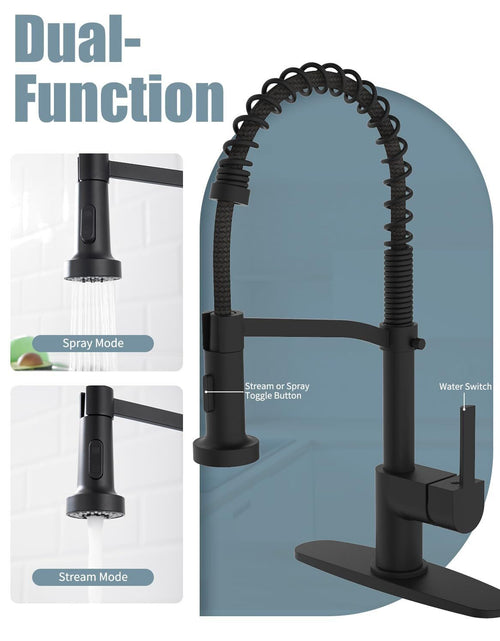 Load image into Gallery viewer, Black Kitchen Faucet Soap Dispenser, Faucet for Kitchen Sink, Kitchen Sink Fa...
