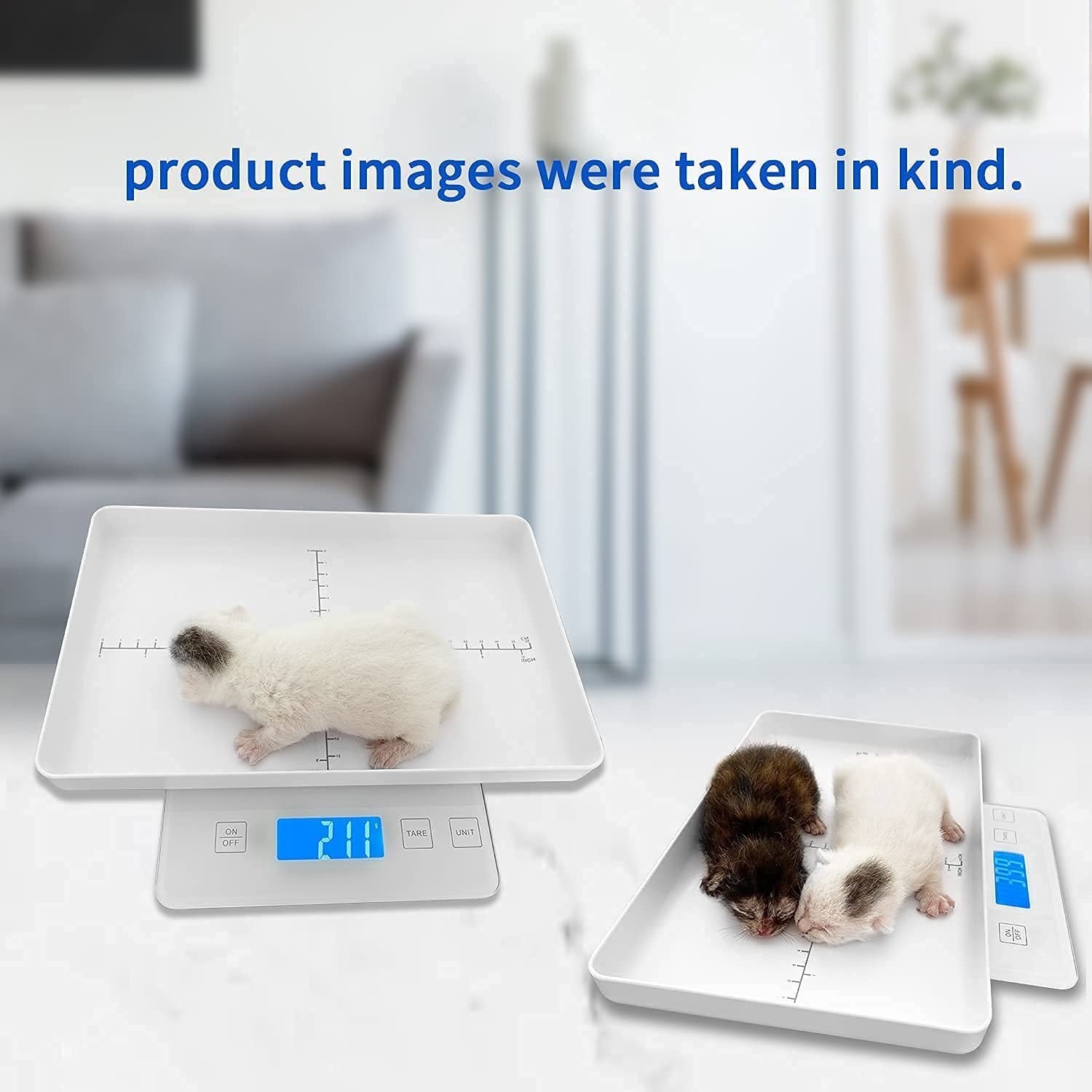 Digital Pet Scale for Small Animal, Whelping Scale,Mini Precision Gram Weight...