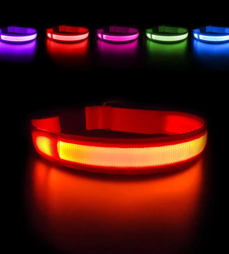 MASBRILL Dog Collar Luminous Pet Supplies Dog Collar Waterpoof Safety Collars