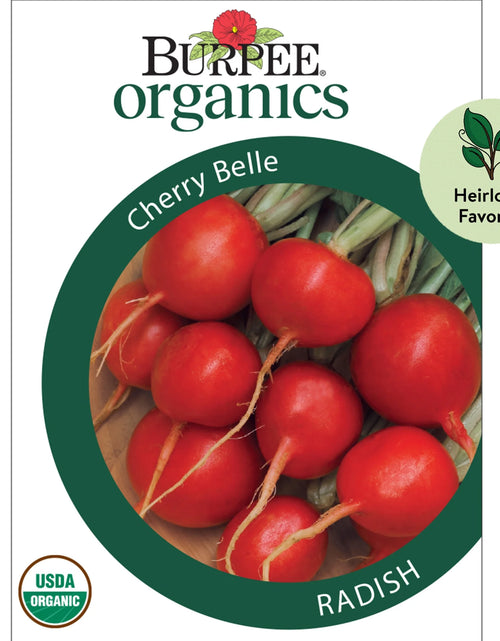 Load image into Gallery viewer, Organics Cherry Belle Radish Seeds - Non-Gmo, Heirloom Organic Vegetable Gardening Seeds, 4.6G, 1-Pack
