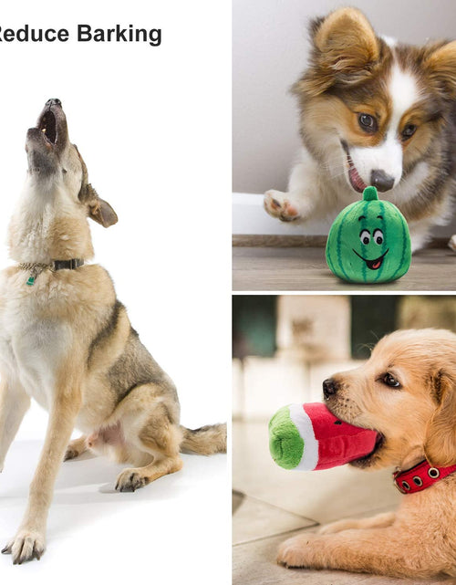 Load image into Gallery viewer, Dog Squeaky Toys, Plush Small Dog Toys for Dogs, Stuffed with Squeakers,12 Pcs Puppy Toys with a Carrying Bag for Small Medium Size
