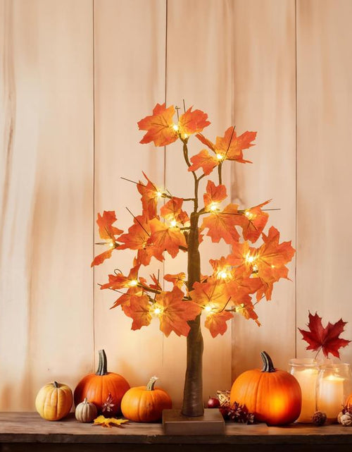 Load image into Gallery viewer, Alfanite 24-Inch Fall Lighted Maple Tree, 24 LED Lights, Usb+Battery Operated Thanksgiving Table Centerpieces Decoration Tree for Home Fireplace Autumn Harvest Tabletop Indoor Decor
