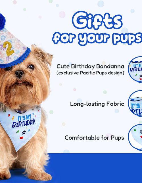 Load image into Gallery viewer, Pacific Pups - Dog Birthday Party Set - Dog Birthday Hat, Birthday Dog Bandanna, Squeaky Dog Toy, Birthday Banner for Pet Birthday Party
