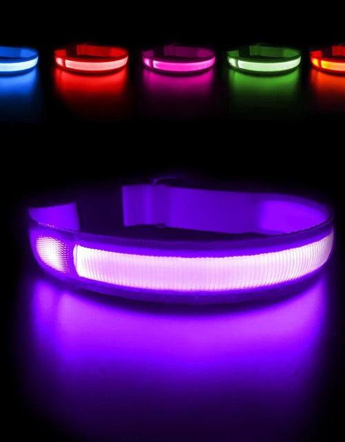 Load image into Gallery viewer, MASBRILL Dog Collar Luminous Pet Supplies Dog Collar Waterpoof Safety Collars
