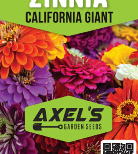 California Giant Zinnia Flower Seeds | Non-Gmo | Fresh Annual Flower Seeds