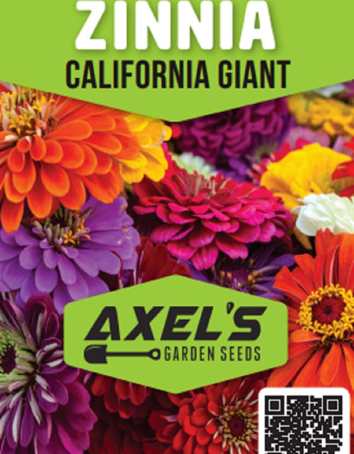 Load image into Gallery viewer, California Giant Zinnia Flower Seeds | Non-Gmo | Fresh Annual Flower Seeds
