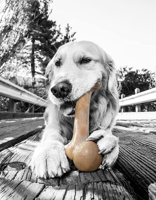 Load image into Gallery viewer, Dinosaur Barkbone - Nylon Dog Bone for Aggressive Chewers - Bacon Flavor - 8.5"
