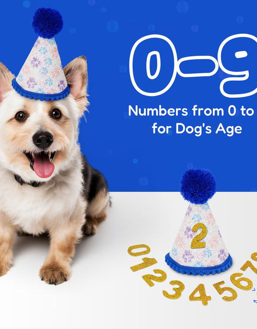 Load image into Gallery viewer, Pacific Pups - Dog Birthday Party Set - Dog Birthday Hat, Birthday Dog Bandanna, Squeaky Dog Toy, Birthday Banner for Pet Birthday Party
