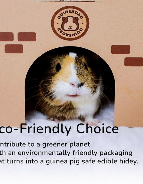 Load image into Gallery viewer, Premium Guineadad Fleece Liner – the Best Bedding for Guinea Pigs! Pet Supplies
